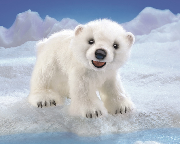 BEAR-Polar Bear Cub