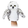Snowy OWL-Little