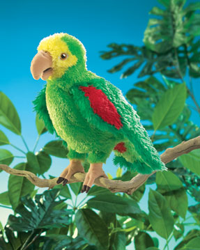 Parrot-Amazon