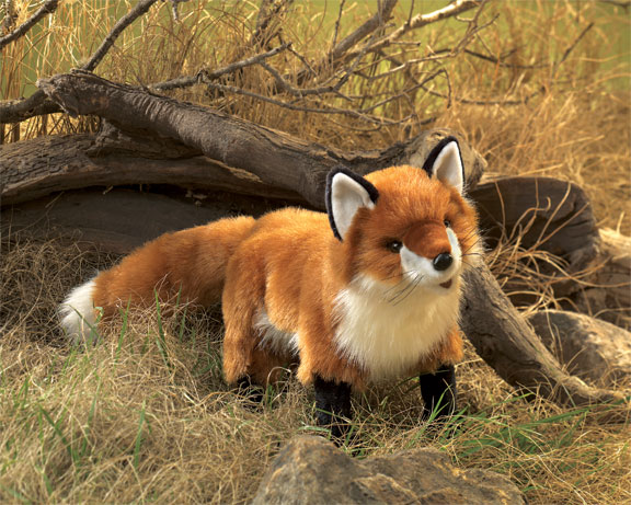 FOX, Red